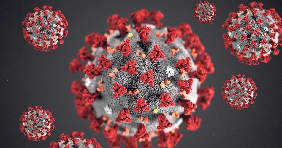 España registra 257 nuevos casos de coronavirus, el mayor aumento diario desde mayo