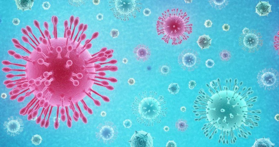 Los científicos trabajan para encontrar una vacuna contra el coronavirus