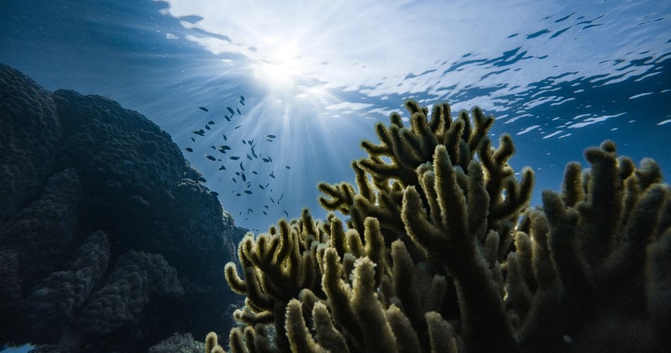 Los océanos pueden pasar de ser sumideros del carbono a convertirse en sus chimeneas, y acelerar el cambio climático